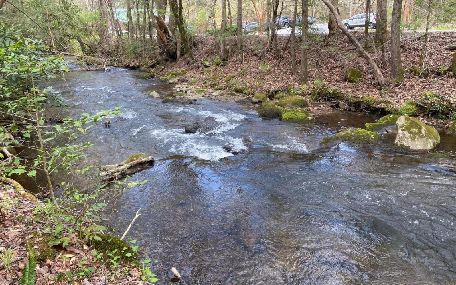 Villa Shady Creek à Gatlinburg Extérieur photo