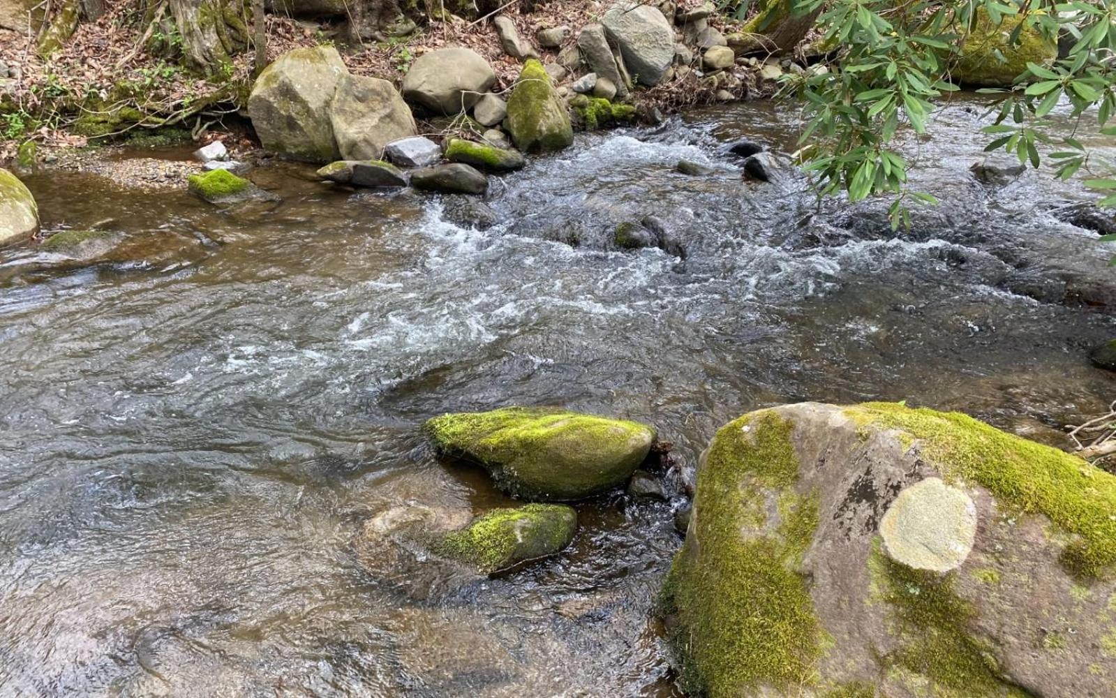Villa Shady Creek à Gatlinburg Extérieur photo